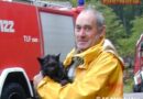 Oö: Katze in Steinfelden aus Kanalrohr gerettet