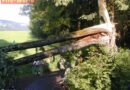 Oö: Sturmschaden nach orkanartigen Winden und Hagel