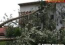 Nö: Unwettereinsätze für den  Abschnitt Hainburg
