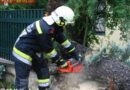 Nö: Unwettereinsätze in Maria Anzbach