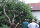 Nö: Unwettereinsatz und News der FF Matzendorf
