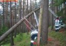 Südtirol: Einsatzreiche Woche für die Feuerwehr Stegen