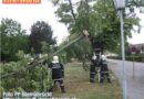 Nö: Sturm- und Unwetterschäden in Steinabrückl