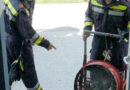 Nö: 300 Schweine vor dem Tod gerettet