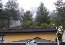 Bgld: Waldbrand in der Waldgasse-Donnerskirchen