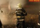 Stmk: Vollbrand – Tiere bei Stallgebäudebrand in Lupitsch umgekommen