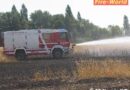 Bgld: Brand eines Getreidefeldes in Neusiedl am See