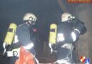 Bgld: Einsatzübung in Pinkafeld-Schwerpunkt Menschenrettung