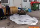 Nö: Austritt von Altöl in Sollenau