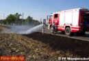 Nö: Flurbrand entlang der B 16 in Wampersdorf