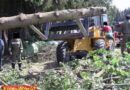 Oö: Baum stürzt auf Traktor