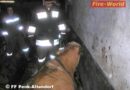 Nö: Feuerwehr als Geburtshelfer – Tierrettung in Penk