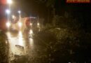 Nö: Sturmschaden-Baum über der Straße