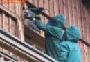 Oö: Wespen-Einsätze halten FF Bad Goisern auf Trab