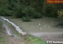 Nö: Hochwasser in Hainburg/Donau