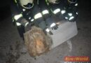 Nö: Pkw rammte Betonpfeiler in Krenstetten