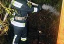 Nö: Brennender Komposthaufen in Wohnhausanlage