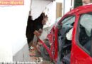 Nö: Führerscheinneuling krachte frontal in Hausmauer