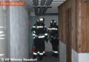 Nö: Pkw-Bergung und Einsatz nach Geruchsbelästigung in Wr. Neudorf