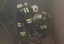 Nö: Brand im Biomasseheizwerk Preinsbach->Einsatzübung