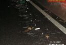 Oö: Tausende Stahlstifte auf der A8 bei Haag am Hausruck