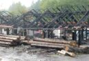 Oö: Vollbrand im Sägewerk in St. Johann am Walde