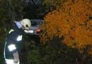 Nö: Ausritt mit Pkw in Judenau – Auto verschwand im Buschwerk