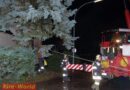 Nö: Feuerwehr Amstetten mit Kranfahrzeug im Sturmeinsatz