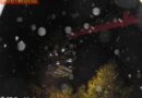 Oö: Durch Sturm abgedecktes Dach in Attnang-Puchheim