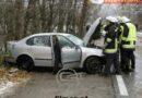 Nö: Pkw gegen Baum geprallt -> Motorblock aus Fahrzeug gerissen