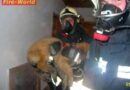 Oö: Rettung eines Hundes bei Wohnhausbrand