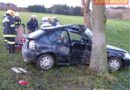 Nö: Mit Pkw bei Aschbach seitlich gegen Baum geprallt