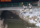 Nö: Bei -10°Celsius Außentemperatur im eiskalten Bach gefangen