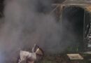 Nö: Brand eines Wohnwagens in der Marktgemeinde Judenau-Baumgarten