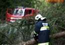 Österreich: Schwerer Jänner-Sturm mit bis zu 130 km/h fordert Feuerwehren