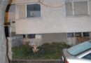Nö: Glimpflicher Ausgang nach Gasexplosion in mehrstöckigem Gebäude in Mödling