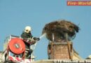 Bgld: Brand eines Storchennestes in Neusiedl am See
