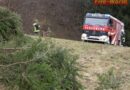 Nö: Umgestürzter Baum und Fahrzeugbergung auf der A2 in Edlitz