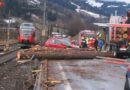 Sbg: Holztransportladung auf Schienen gestürzt -> Lok rammte Baumstamm