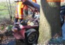 Deutschland: Mit Porsche bei Ebbingen gegen Baum geprallt -> Lenker getötet