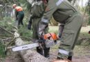 Österreich: Sturmtief „Emma“ fegt über Österreich