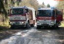 Nö: Personenrettung aus umgestürzten Schützenpanzer in Allentsteig