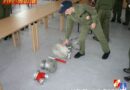 Bgld: Pinkafelder Jugend erfolgreich beim Wissenstest 2008