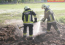 Nö: Massenkarambolage mit Menschenrettung und Flurbrand in Krems