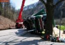 Nö:  17 Tonnen Sägespäne landeten auf der B 11 im Straßengraben