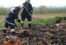 Bgld: Flurenbrand in Wiesen