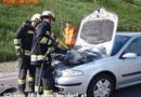 Nö: Lenker kam von der Fahrbahn ab & Katzenrettung in Baden-Leesdorf