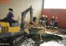Deutschland: Feuer in der Turnhalle des Carl-Humann-Gymnasiums in Essen