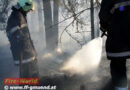 Nö: Bahndammbrand zwischen Gmünd und Breitensee
