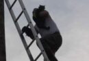 Oö: Katze auf Strommasten gefangen